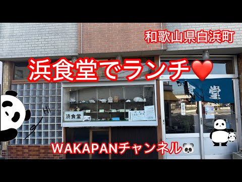 和歌山県白浜町　浜食堂でランチ❤️WAKAPANチャンネル🐼