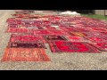 Rescue Rugs with Margaret Jasper from The Persian Room
