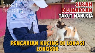 Street Feeding ke Lokasi yang Terdampak Longsor di Bawah Kaki Gunung Anaga Tegal Waru by Bubu Story The Cat 903 views 3 months ago 7 minutes, 19 seconds