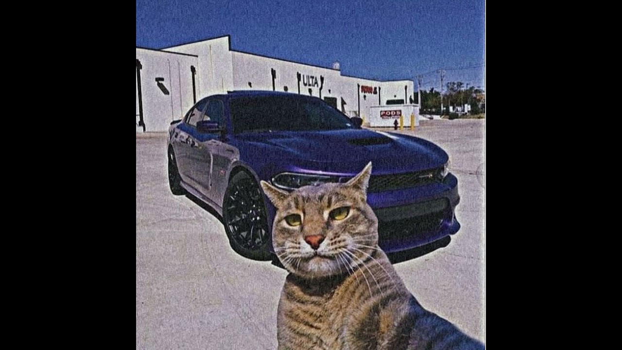 FREE Fast Trumpet Gunna Type Beat (prod. Ravden)