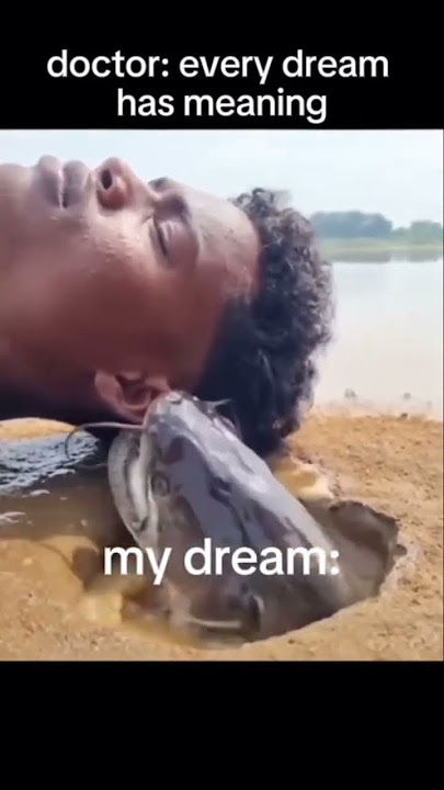 Lin gan guli guli guli wata #edit #fish #funny