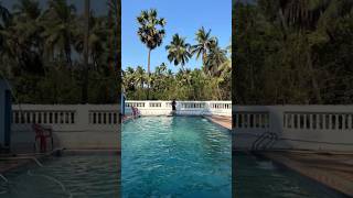 Kelve Beach Resort Villa Palghar #palghar #kelve #kelvebeach #swimmingpool #ytshorts #shorts #yts