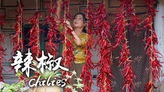 'Spices of Four Seasons' Chilies  The Indispensable Hot Happiness on the Table of Yunnan People