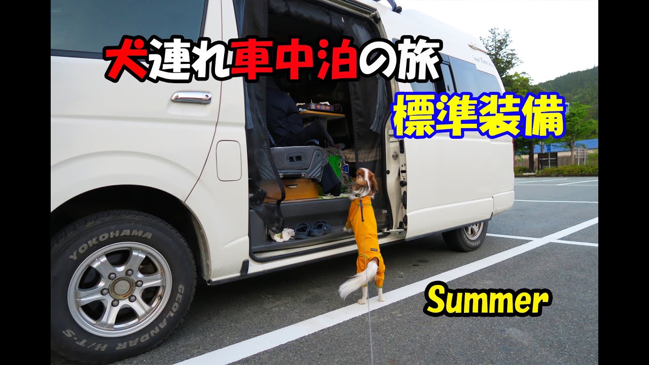 犬連れ車中泊 旅車 ハイエース 紹介 今年も北海道行きまーす Vanlife キャンピングカー Youtube