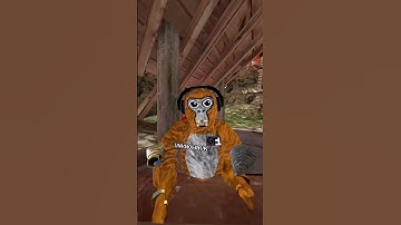 Day 2 of Joining My Fan Code Until It