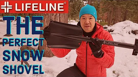 LIFELINE Snow Shovel + Snow Brush and Ice Scraper ...