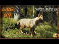 🔴LIVE-ON - BORA CAÇAR UM POUCO - #rattoplay #wayofthehunter #savana