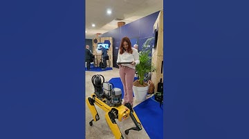 My first time with a Boston Dynamics quadruped robot 🤖 #robots