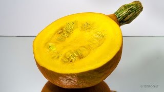 cocktail video