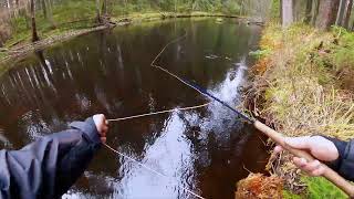 видео: Kola-Salmon M 1 Expert, шнур для рыбалки с восхитительными эмоциями. картинка: Kola-Salmon M 1 Expert, шнур для рыбалки с восхитительными эмоциями.