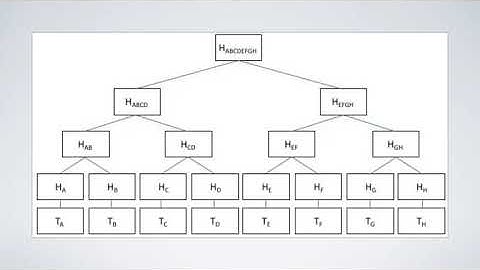 Basic Building Blocks of Blockchain Technology - A Webinar by Gokul Alex