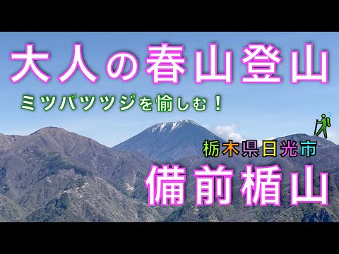 ミツバツツジに癒される備前楯山｜大人だけが知る贅沢な山時間！舟石峠駐車場からスタート！栃木県日光市足尾町【山と音楽　m♪し音】