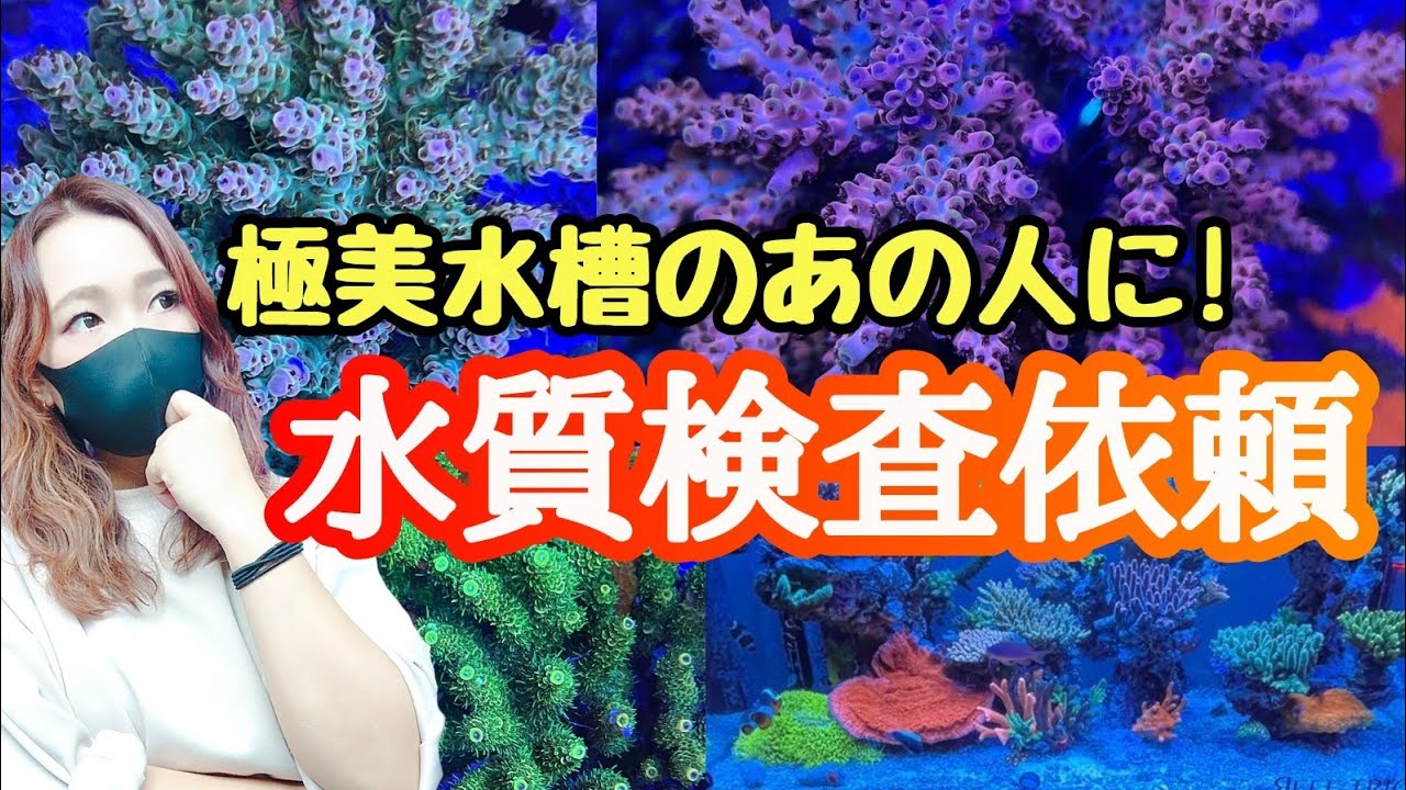 海水魚水槽 極美サンゴ飼育者に水質検査を依頼した結果 My Coral Aquarium Moamoaちゃんねる Youtube