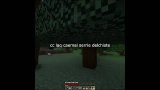 Que gracioso soy me caigo bien:0  #minecraftsurvival #minecraftbuilding #fypシ゚viral #spreeen