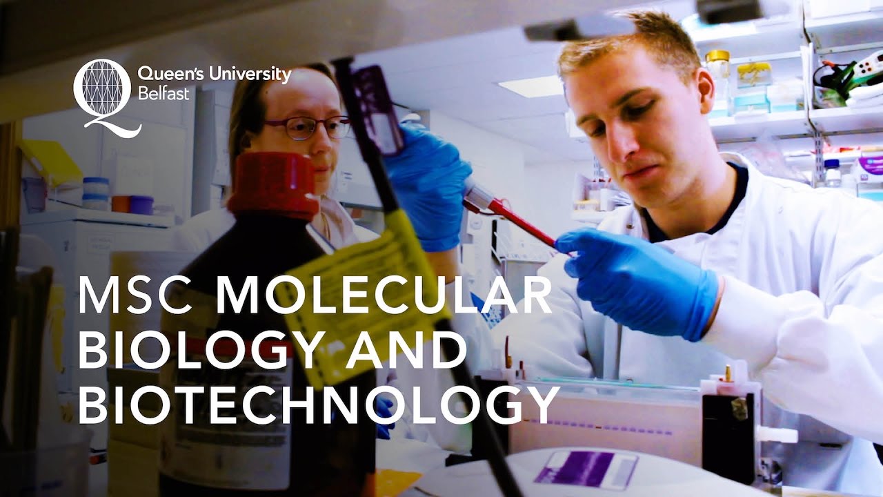 MSc Molecular Biology and Biotechnology YouTube