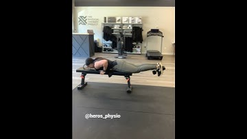 Prone DB hamstring curl