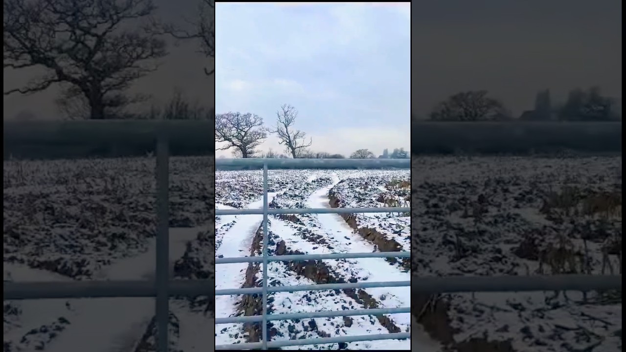 “Chestnut Meats: Butcher & Café Excellence!”