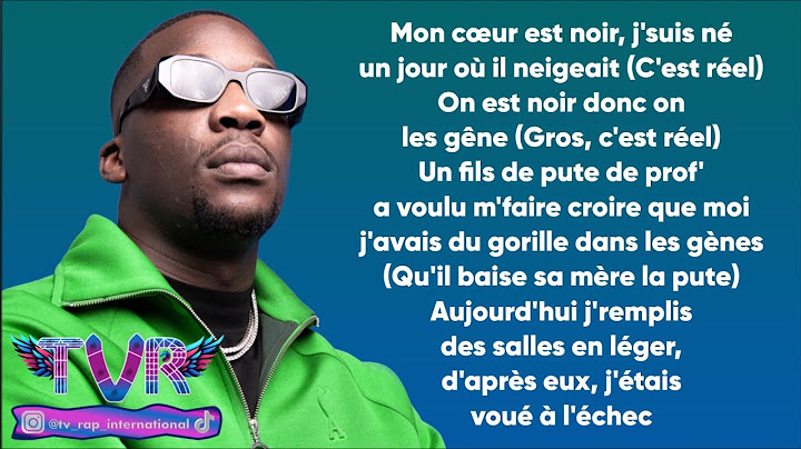 SDM - Merci (Paroles/Lyrics)