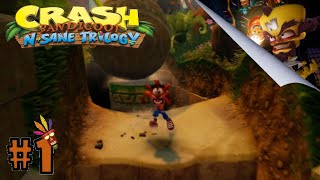 1 Crash Bandiccot: N Sane Trilogy 100% (no comentado) Full HD - Del inicio hasta Papu Papu