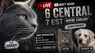 Matt Noah LIVE!! Chat interaction, coffee, vibes, chill. Animals.