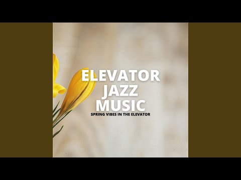 First Class Elevator Jazz Vibes