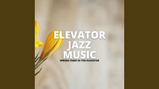 First Class Elevator Jazz Vibes