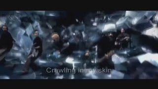 Linkin Park - Crawling Official Video Lyrics