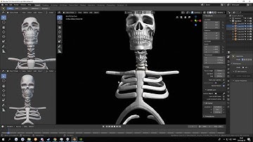 Skeleton timelapse