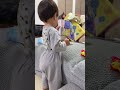 おいでする1歳赤ちゃんと呼ばれるままの豆柴が可愛すぎる【柴犬】#Shorts