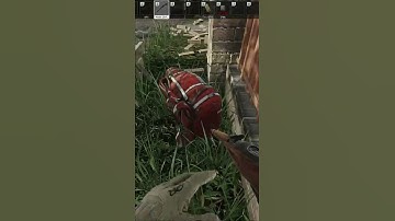 Sounds Like Grenade Language