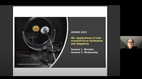 MS02 - Applications of Goal Oriented Error Estimation and Adap
