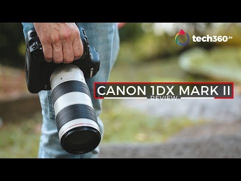Canon EOS 1DX Mark II Review: Still Relevant In 2019 For Photography?
