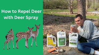 Repel DEER from Your Garden  Cheap, Fast, and Easy