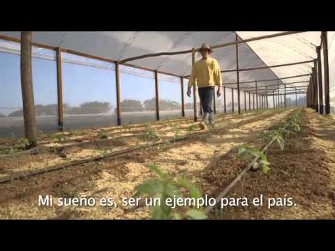 SEMBRANDO OPORTUNIDADES - Teodoro Obregón - YouTube