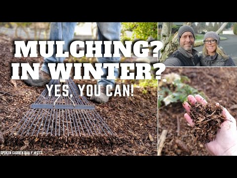 Video: Zimska zaščita za mulčenje - ali naj pozimi mulčim okoli rastlin