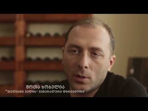 რთველი - Teliani Valley ეძიე და მოყევი ღვინოს...