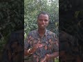 Dawaa Sihrii Garatti Nama Nyaachisanii Dawaa Sihrii Garatti Nama Nyaachisanii