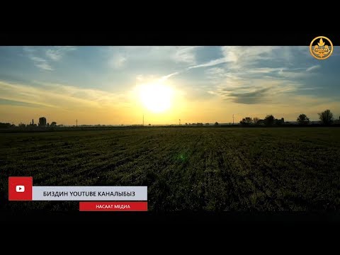 Video: Кайсыл сөздөр качан натыйжалуу болот?