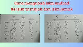 cara mengubah isim mufrad ke isim tasniyah dan isim jamak | belajar mufrad mutsanna dan jamak