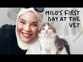Kitten&#39;s First day at the Vet | Milo&#39;s First Vet Visit