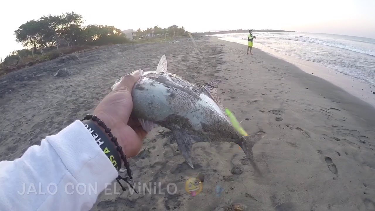 Pesca en playa saladita camera iphone 8 plus apk