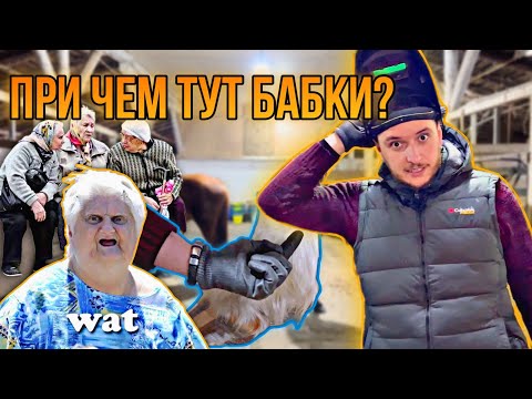 ОРТОПЕДИЧЕСКАЯ ковка лошади с ПРИЗЕМЛЕННЫМИ суставами: внезапные проблемы не помеха.