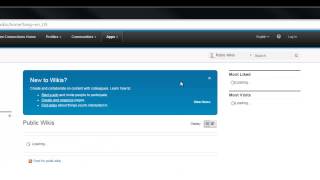 IBM's Extranet Chat Services to chat with an IBMer on Sametime