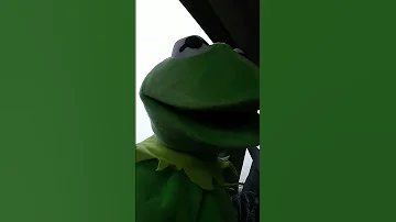 Kermit dances and sings to Say So by Dojo Cat