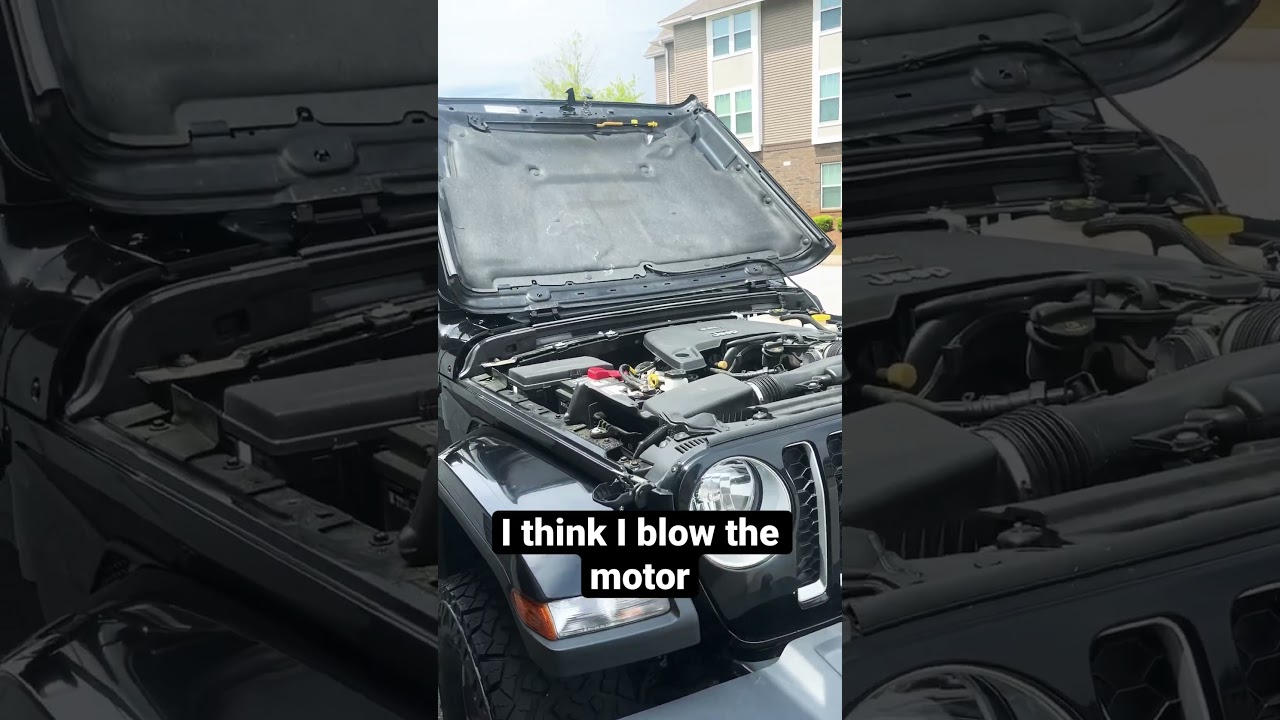 Jeep gang or no gang .,