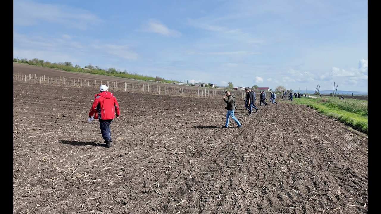 CĂUTĂRILE ANEI-MARIA GUJA. IMAGINI NO COMMENT. SINTEZA EVENIMENTELOR ÎN DESCRIERE