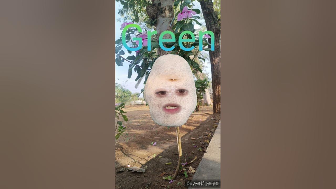 green-colour-name-in-hindi-or-english-viral-shorts-youtube