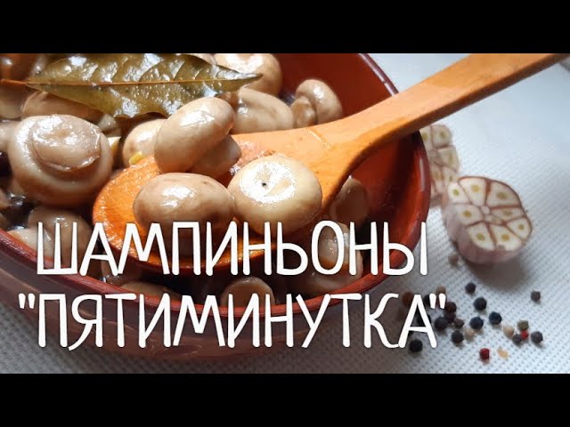 Новые видео-рецепты