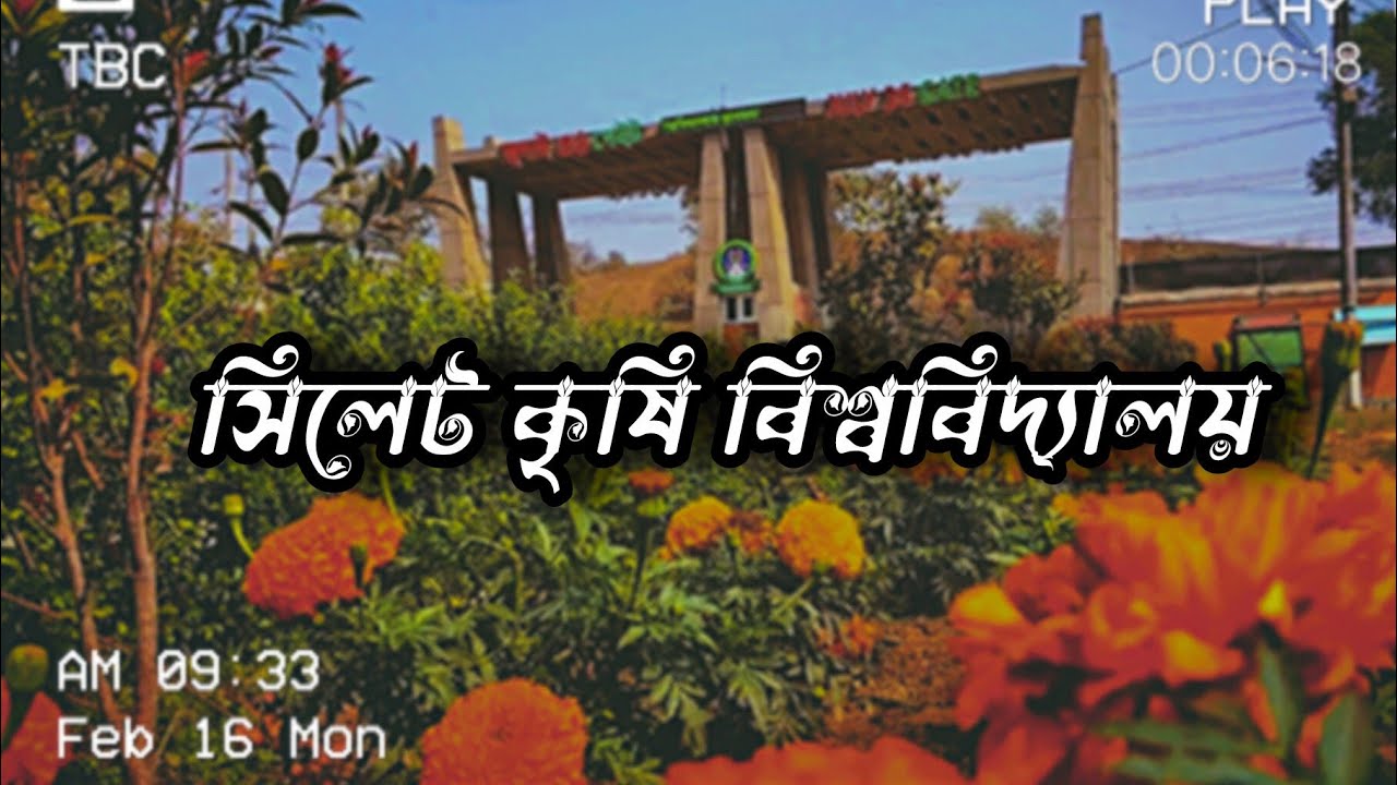 Sylhet Agricultural University || সিলেট কৃষি বিশ্ববিদ্যালয়  #sylhet #agricultural #university