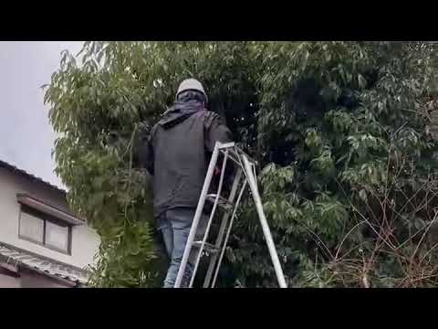 福岡サービスセンター